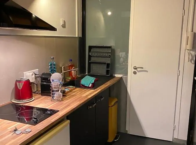 Rentomatique Jean Médecin Niza